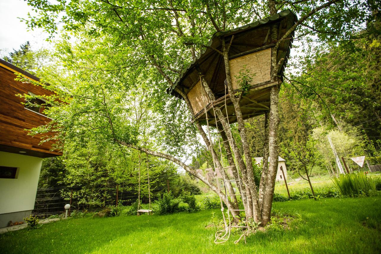 Cabana Jasmin Băile Chirui المظهر الخارجي الصورة